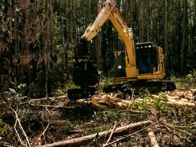 Land Clearing Services Washington, DC in Washington, DC